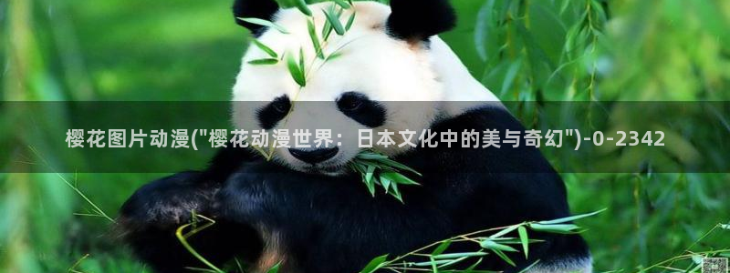 斗罗大陆樱花动漫免费观看