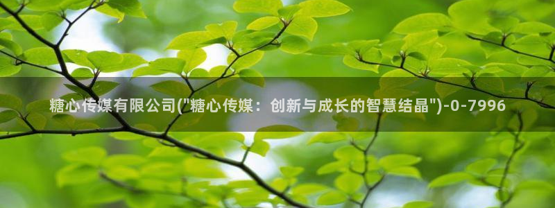 糖心vlog官网在线观看：糖心传媒有限公司(\
