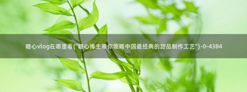 糖心vlog日常