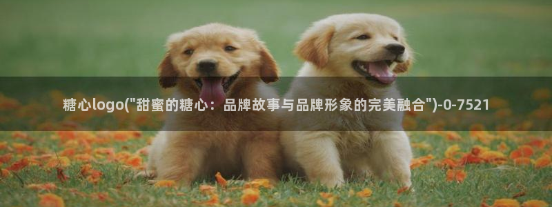 糖心vlog解锁版的功能介绍