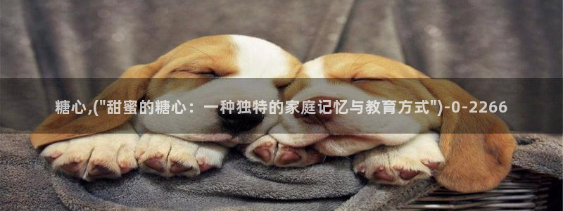 糖心vlog在线观看