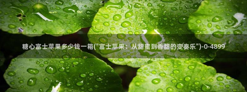 糖心vlogv