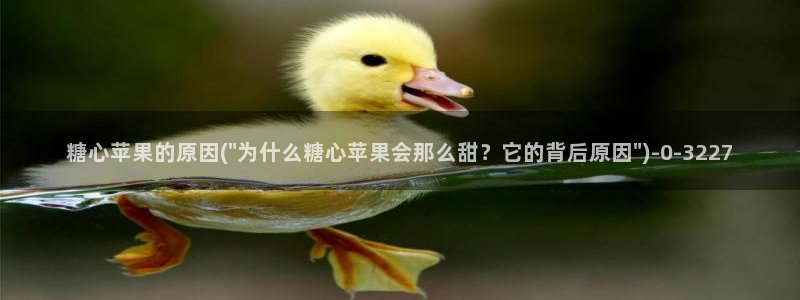 在糖心vlog唐伯虎女主角是谁