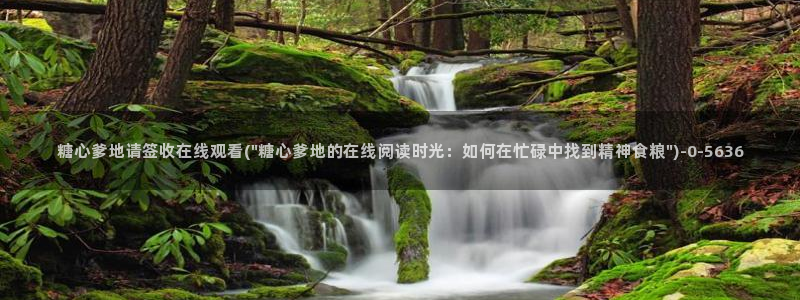 糖心vlog 三秒跳转