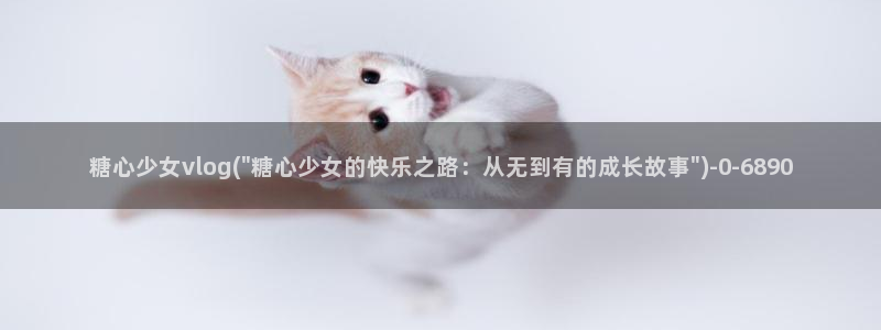 糖心vlog com