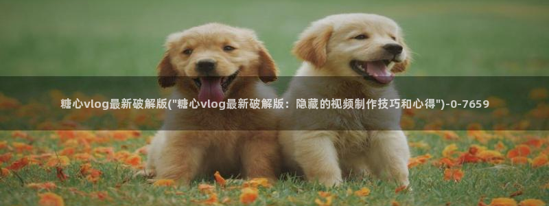 糖心vlog人口