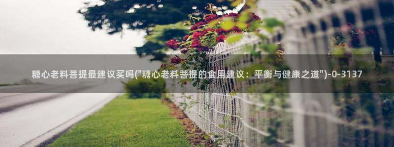 糖心vlog不见星空