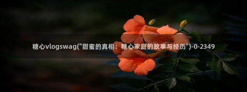 糖心vlog在线观看_糖心vlog